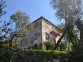 Dettagli